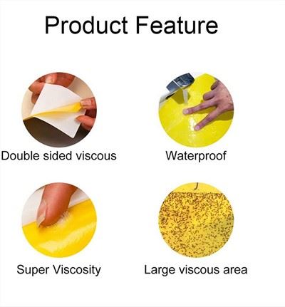 Bẫy đối với côn trùng thực vật bay như bọ cánh cứng, ruồi trắng, rệp, sâu vẽ bùa